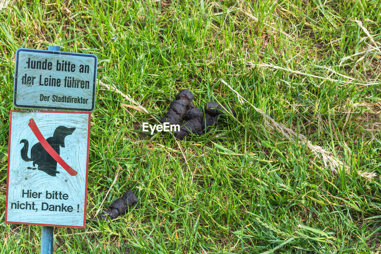 HIGH ANGLE VIEW OF SIGN ON GRASS