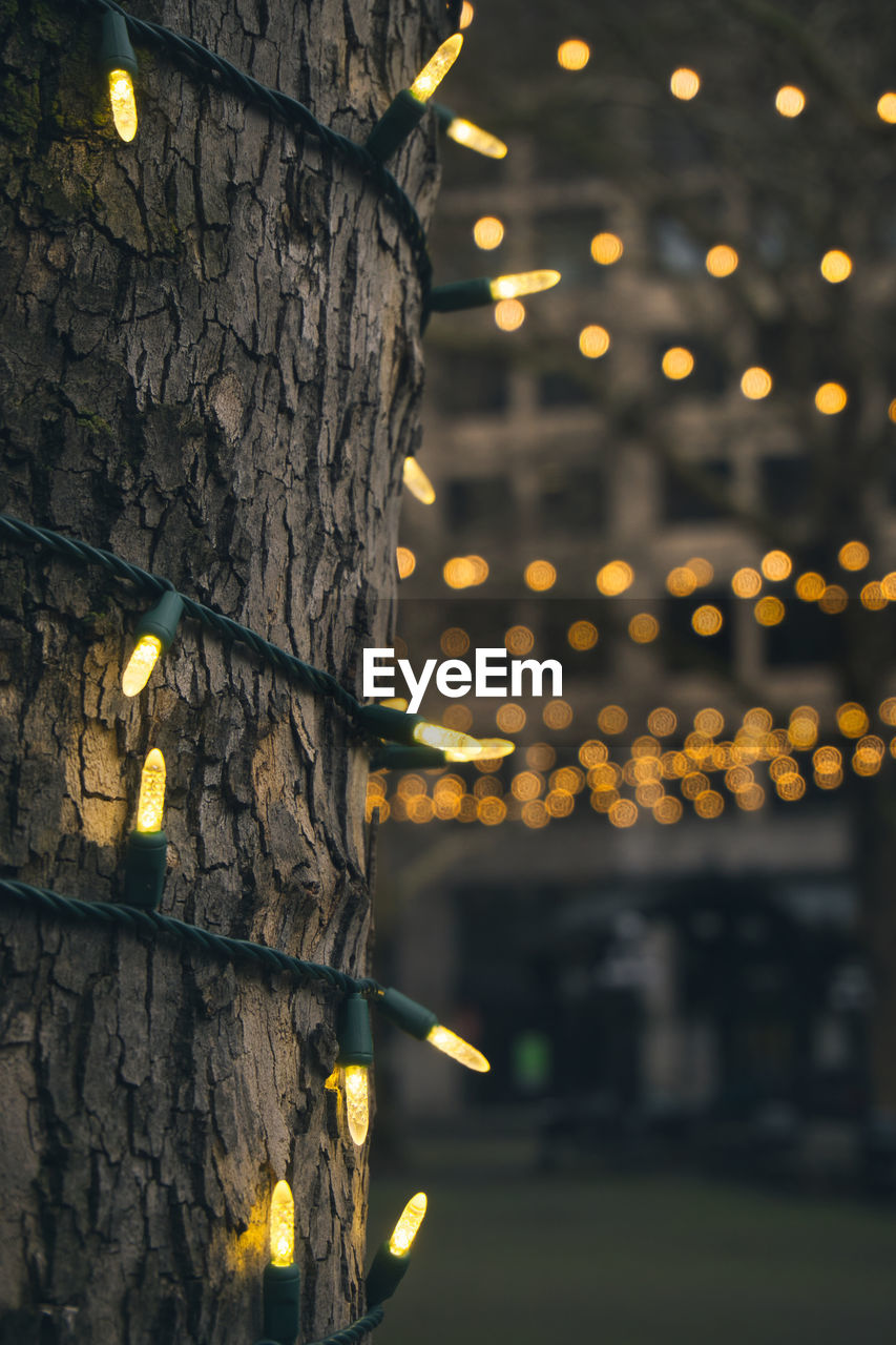 yellow, light, lighting equipment, illuminated, tree, night, decoration, lighting, plant, architecture, no people, hanging, lantern, nature, tree trunk, outdoors, celebration, built structure, darkness, trunk, focus on foreground, reflection, building exterior, street, tradition, street light, flower, city, building, evening, dusk, christmas lights