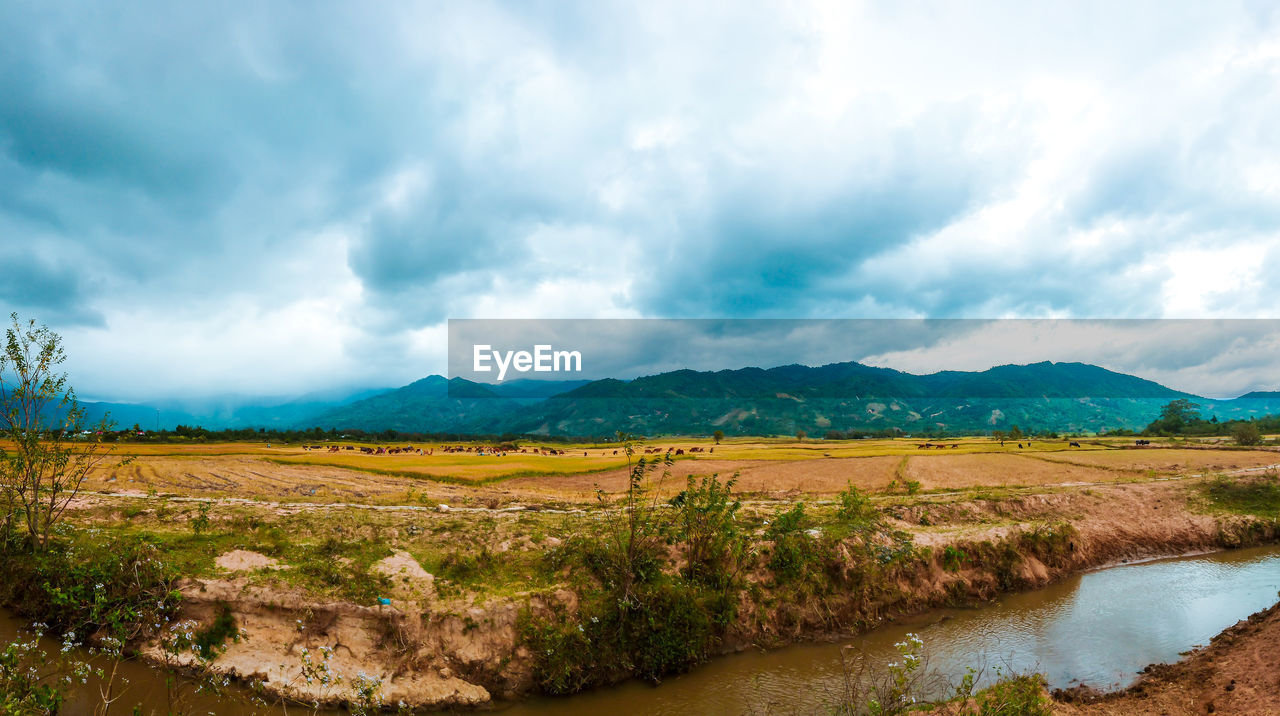 SCENIC VIEW OF LAND AND MOUNTAINS AGAINST SKY