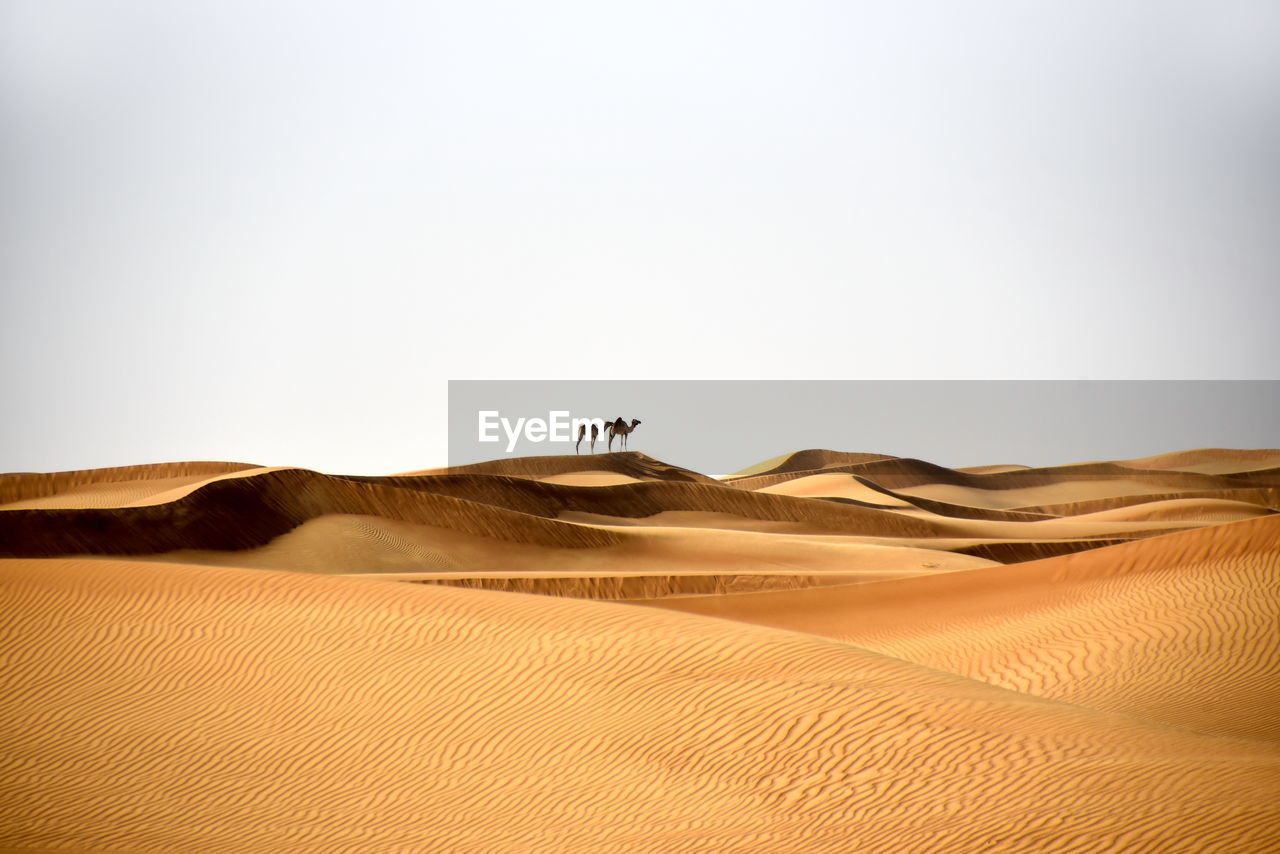 Scenic view of desert against clear sky