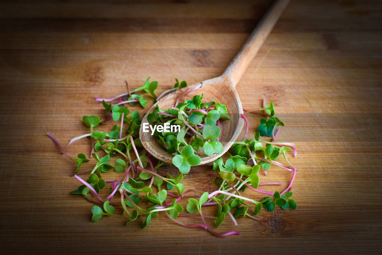 HIGH ANGLE VIEW OF VEGETABLES ON TABLE