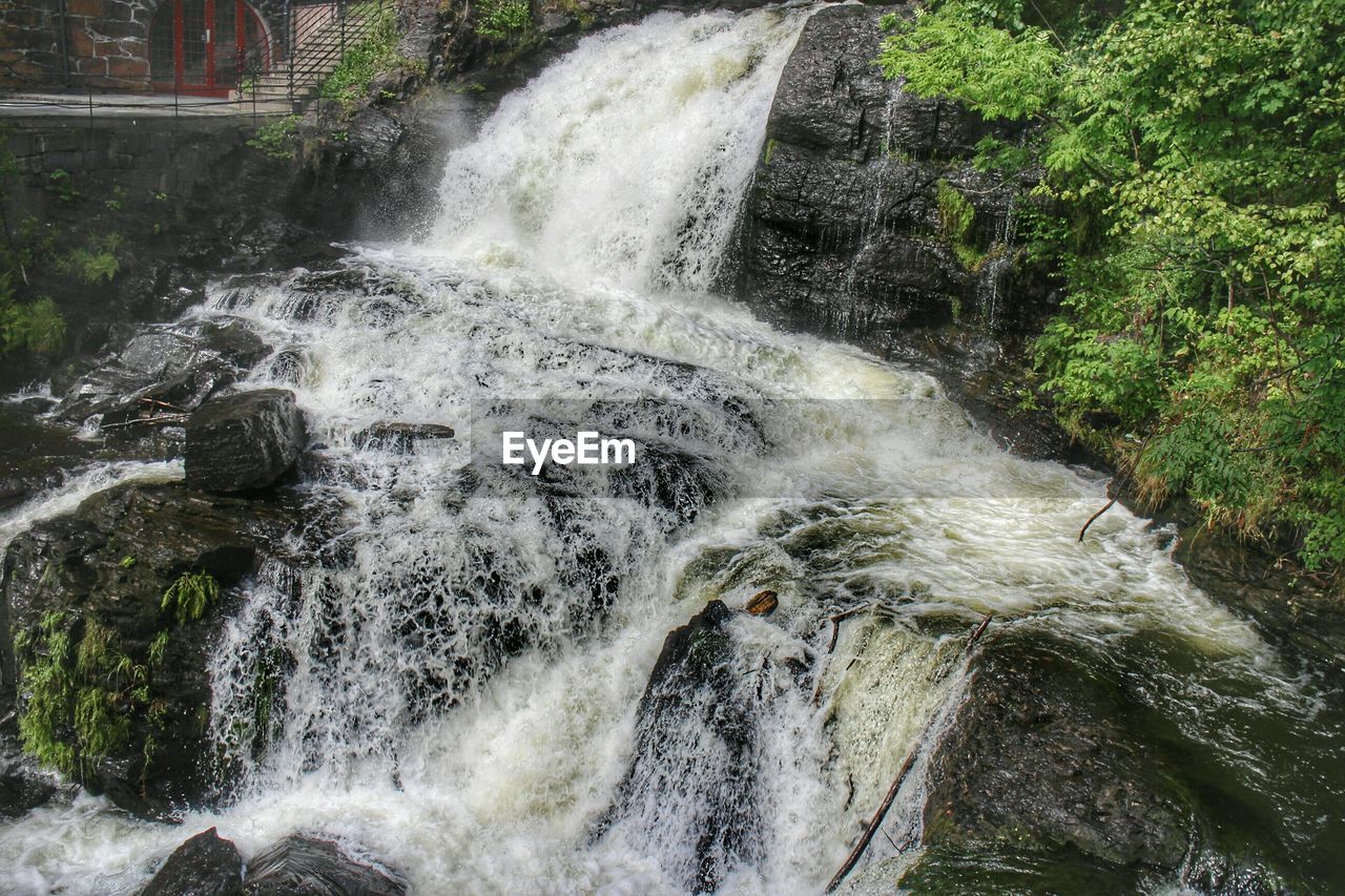 WATERFALL IN FOREST