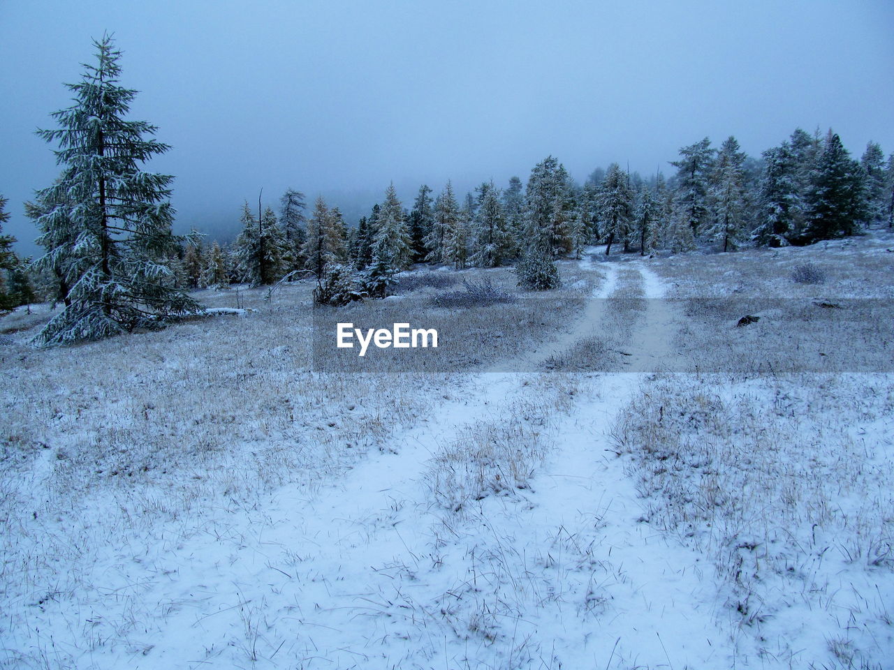 SNOW COVERED LAND AGAINST SKY