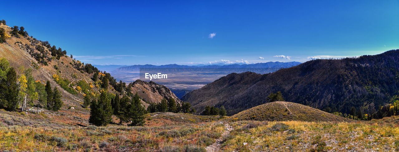 landscape, nature, mountain, scenics - nature, environment, wilderness, sky, beauty in nature, land, mountain range, autumn, plant, tree, travel destinations, panoramic, travel, no people, ridge, tranquility, coniferous tree, pine tree, blue, tranquil scene, non-urban scene, forest, pinaceae, rock, valley, clear sky, outdoors, tourism, pine woodland, adventure, mountain peak, meadow, plateau, activity, walking, moon, grass, national park, cloud, sunny, leaf, idyllic, rural scene