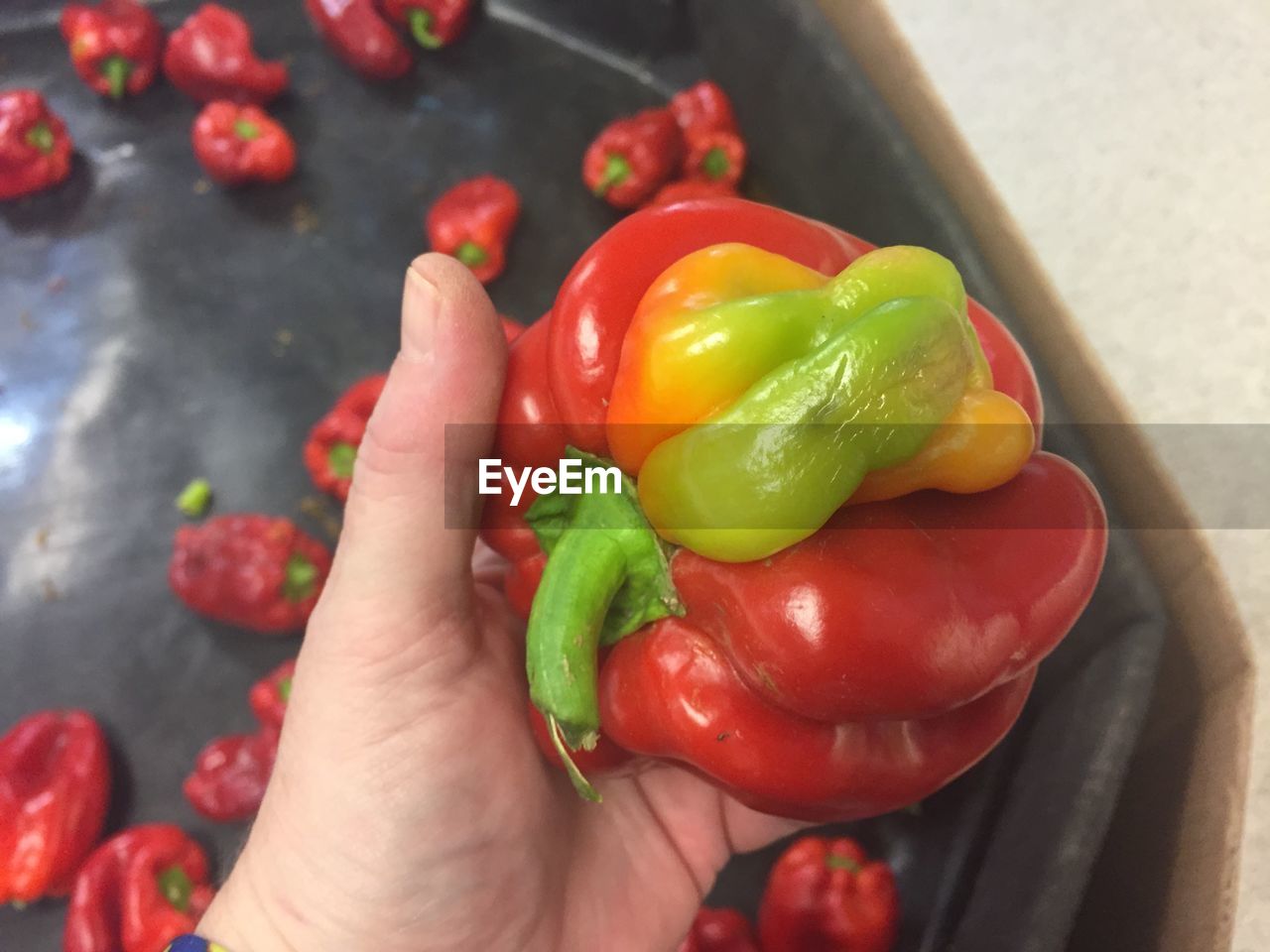 Cropped hand holding bell pepper