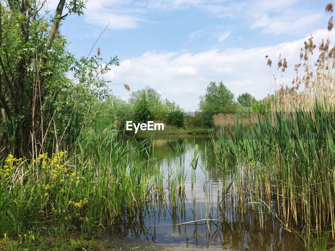 Scenic view of lake against sky