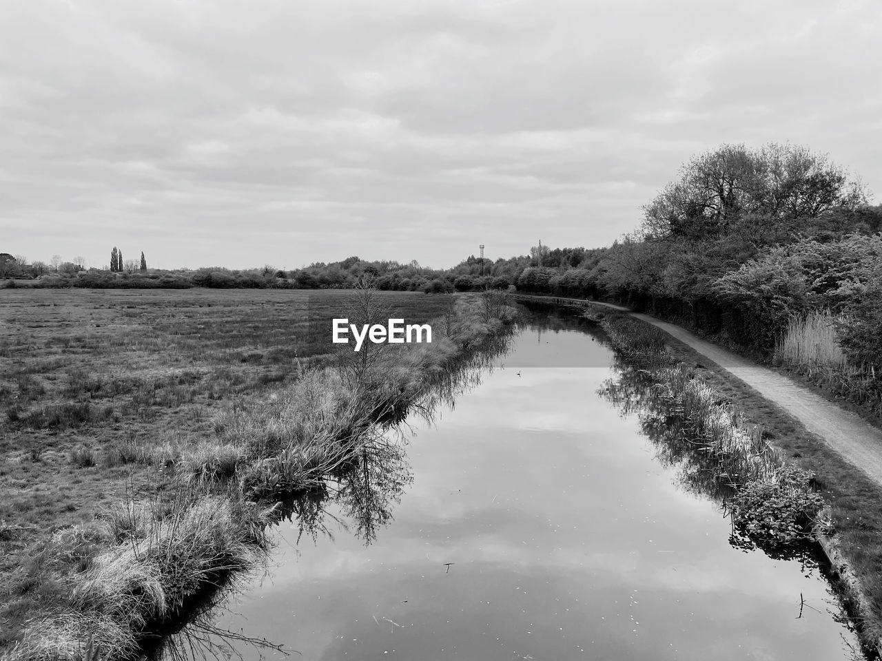 sky, river, water, plant, nature, environment, landscape, black and white, cloud, tree, rural area, tranquility, monochrome photography, scenics - nature, reflection, monochrome, no people, beauty in nature, waterway, tranquil scene, land, grass, wetland, rural scene, day, marsh, outdoors, non-urban scene, winter, growth, field, agriculture