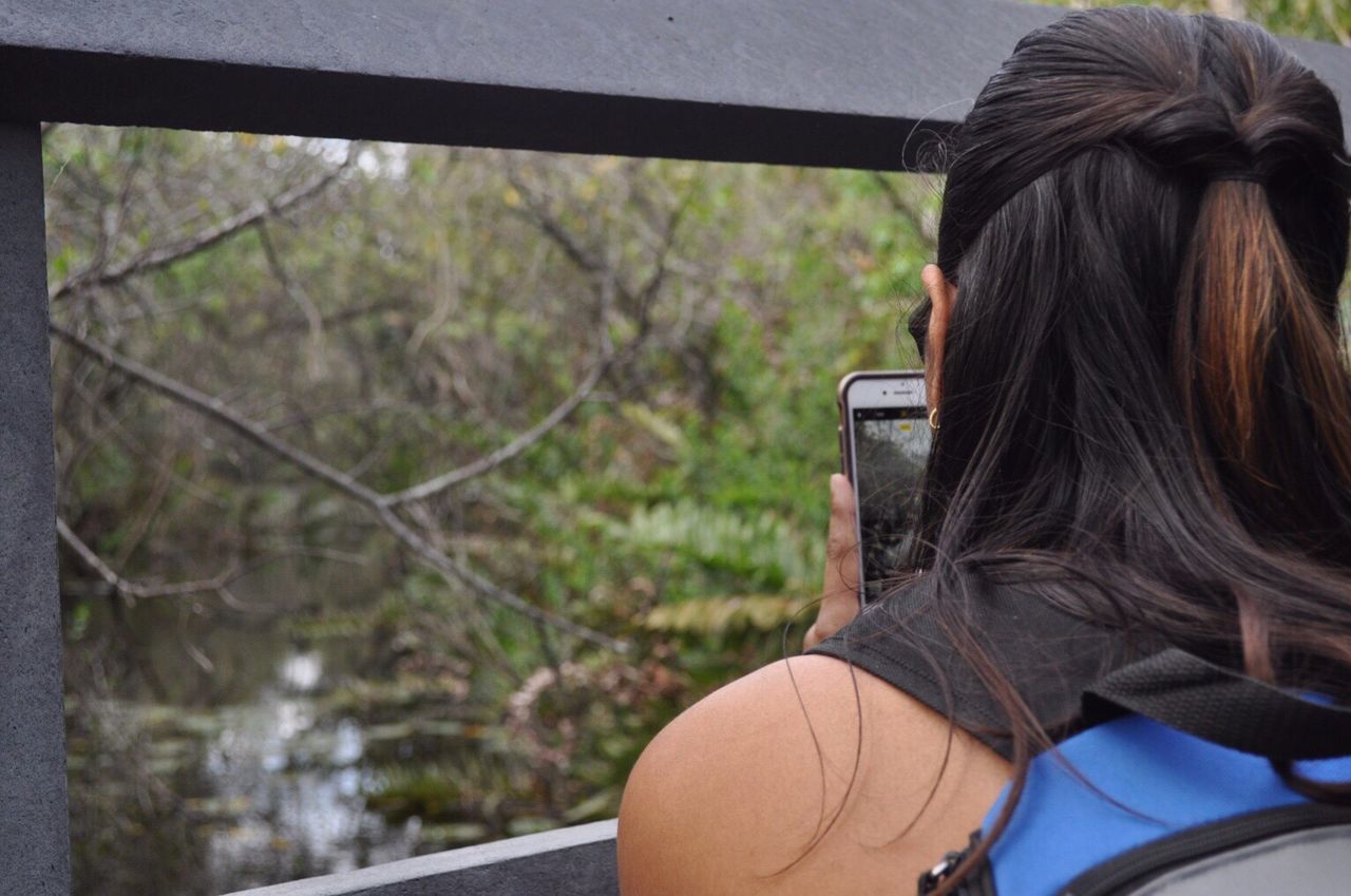 Rear view of woman photographing trees in forest