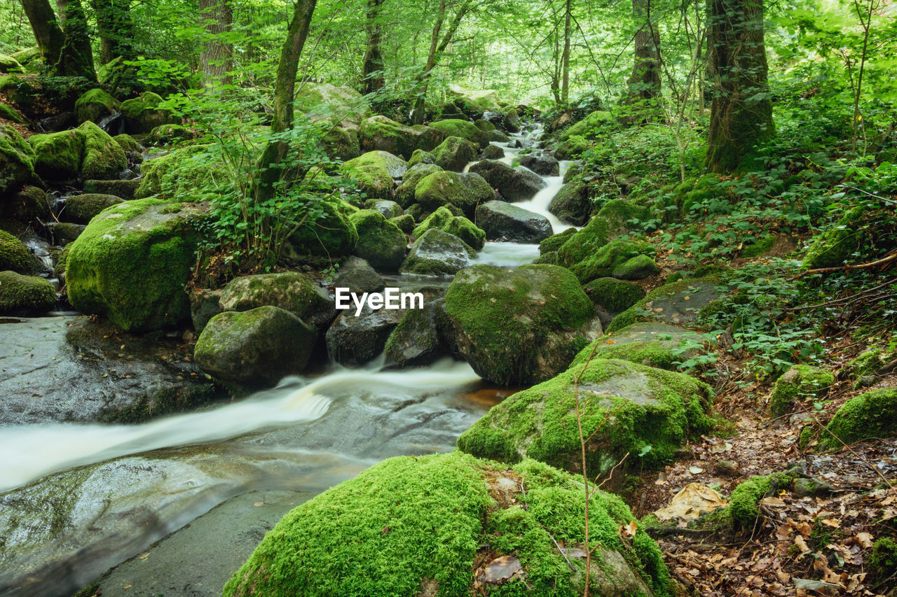 Brisecou waterfall in autun in the forest in burgundy in summer