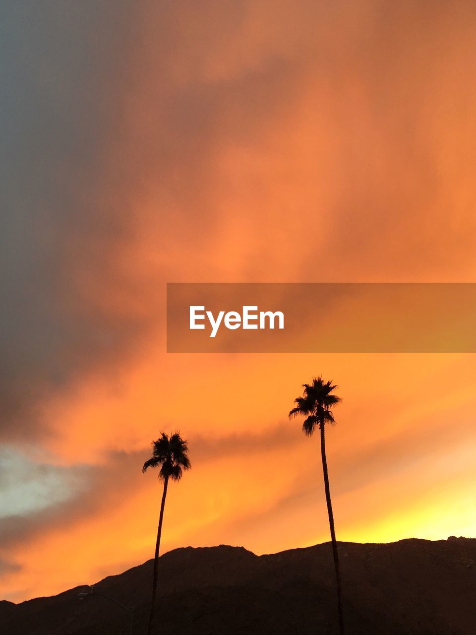 Low angle view of palm trees and mountain against cloudy sky during sunset