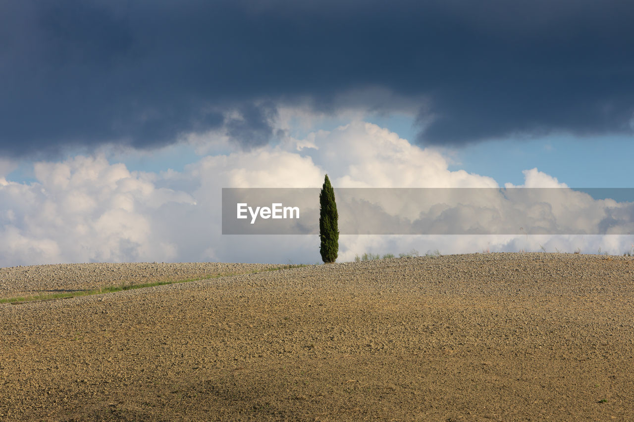 Panoramic view of agricultural field against sky