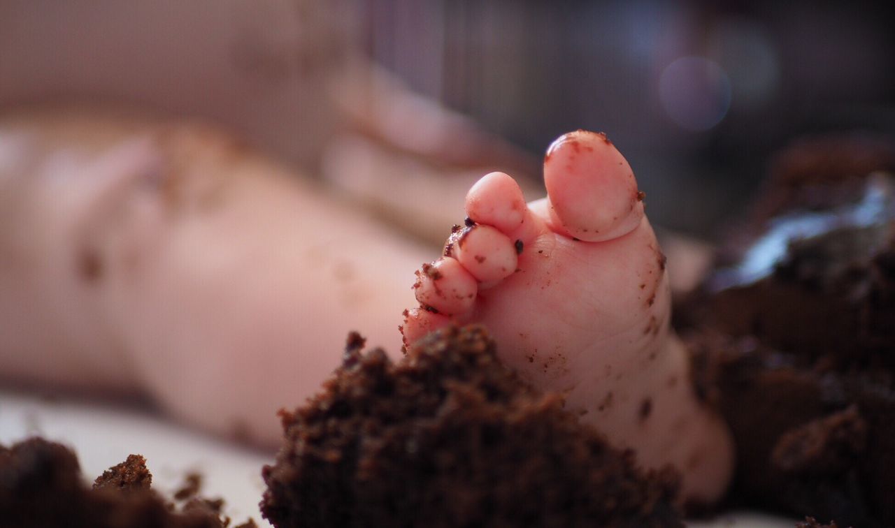 Close-up of human foot