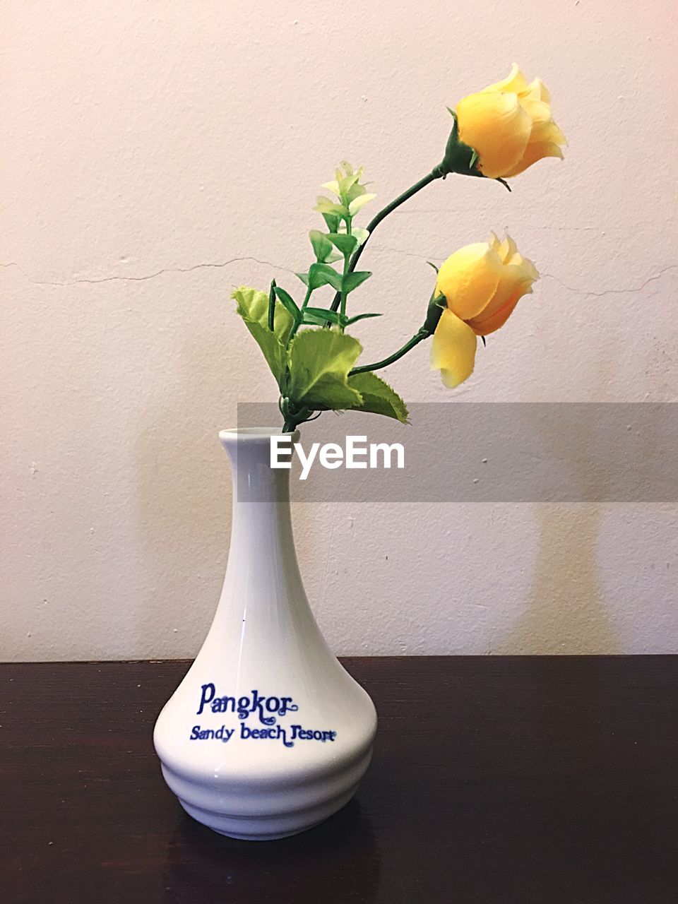 CLOSE-UP OF YELLOW FLOWERS IN VASE ON WALL