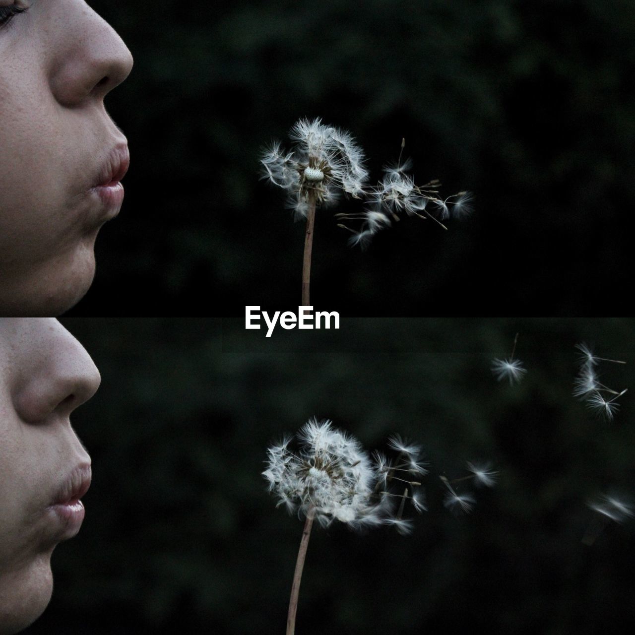 Digital composite image of woman blowing dandelion outdoors