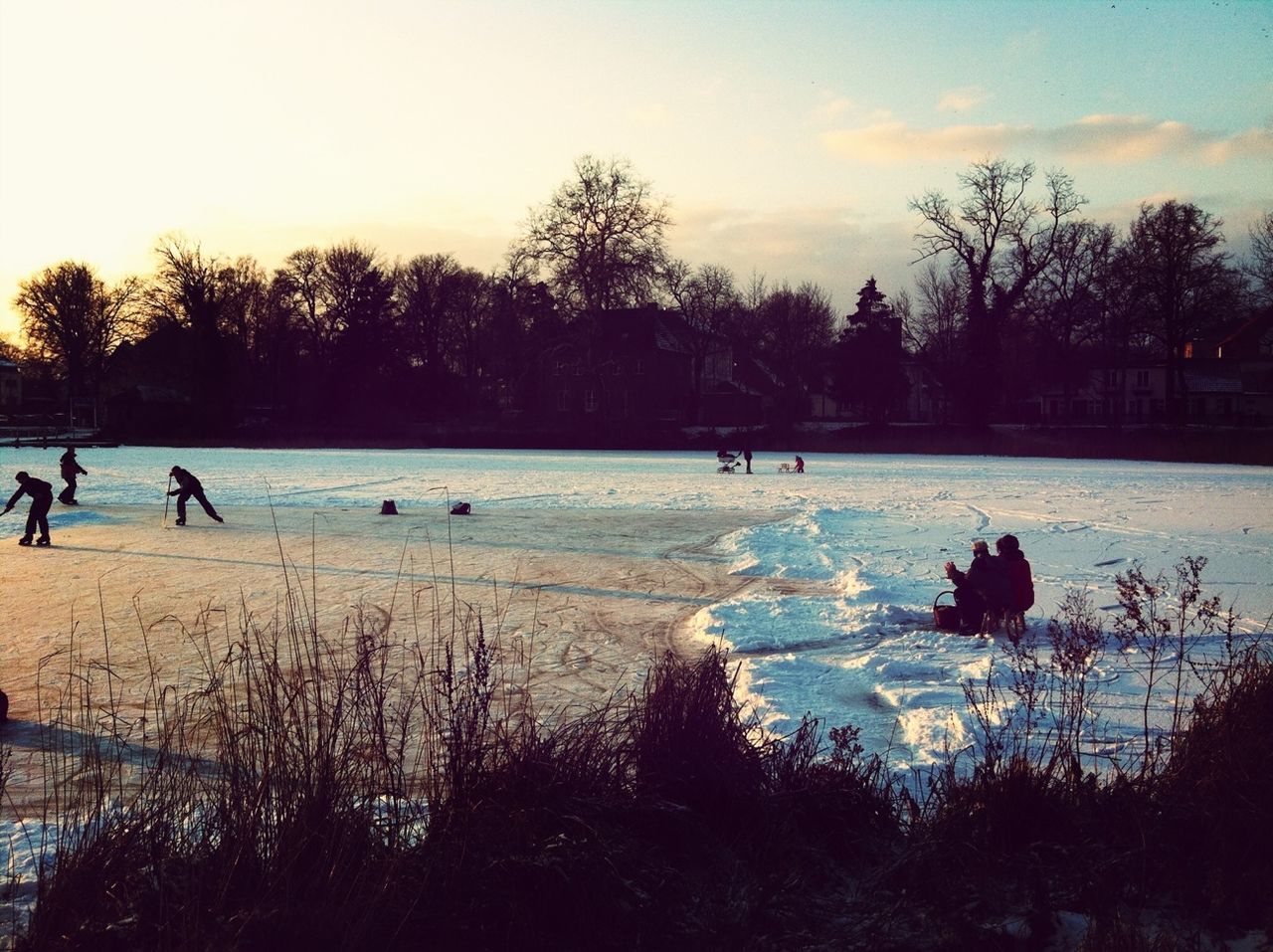 Group of people snow skating with trees in background