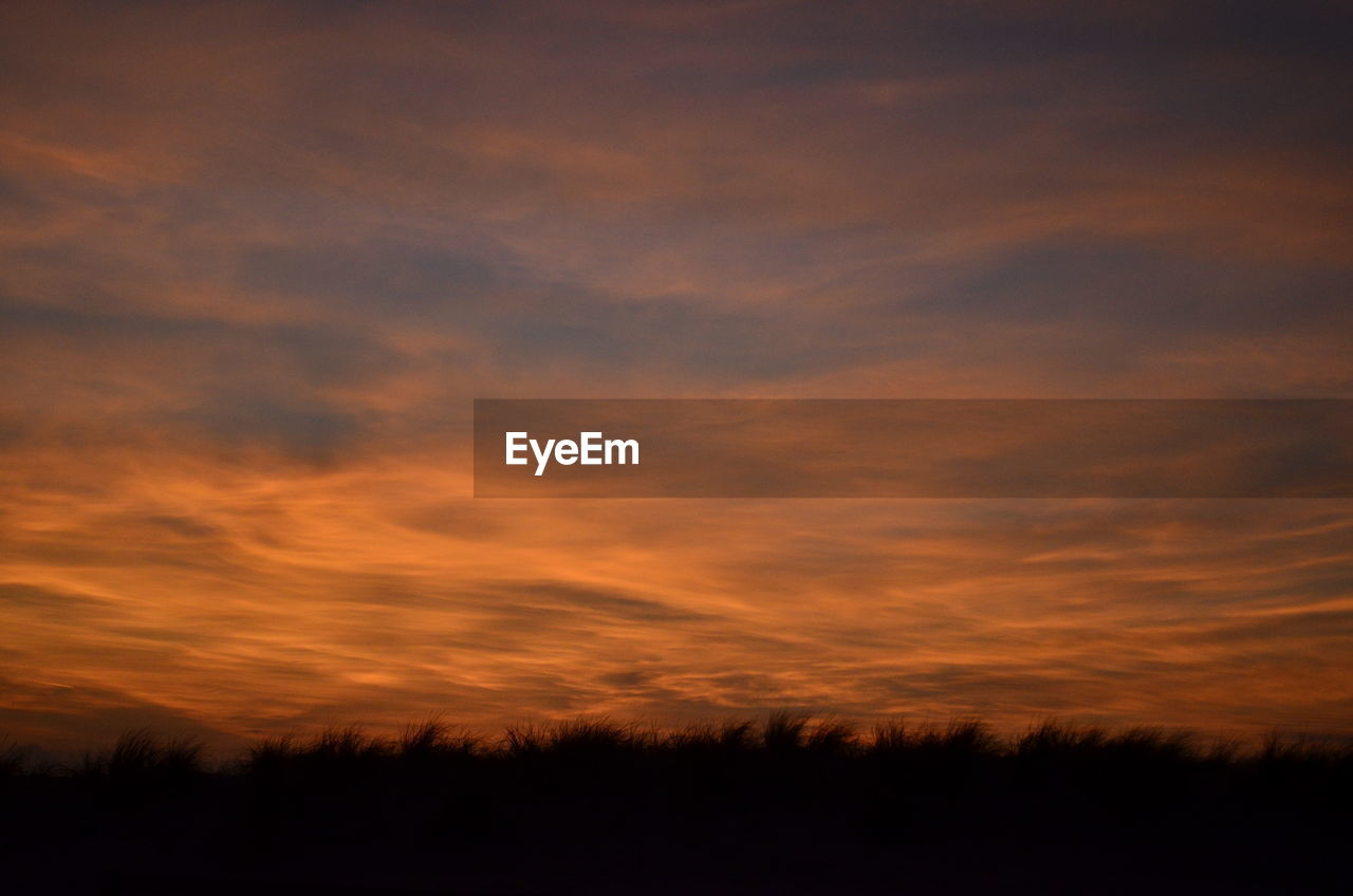 Silhouette trees against sky during sunset