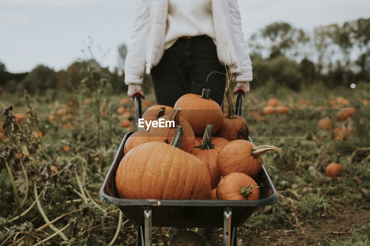 Woman at a pumpkin patch before halloween