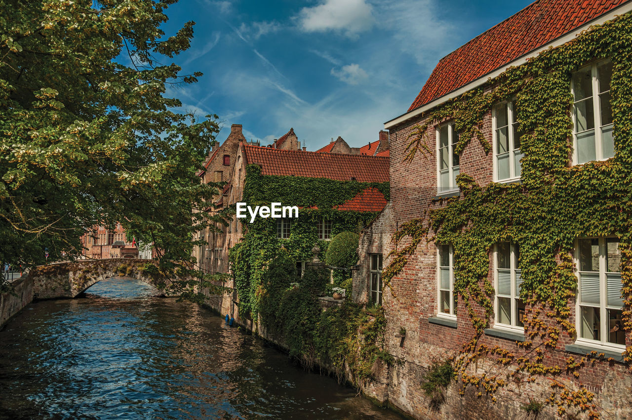 Bridge and brick buildings with creeper on the canal edge in a sunny day at bruges. belgium.