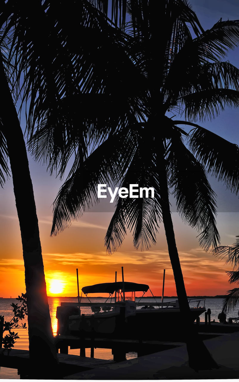 Silhouette palm tree on beach against sky during sunset