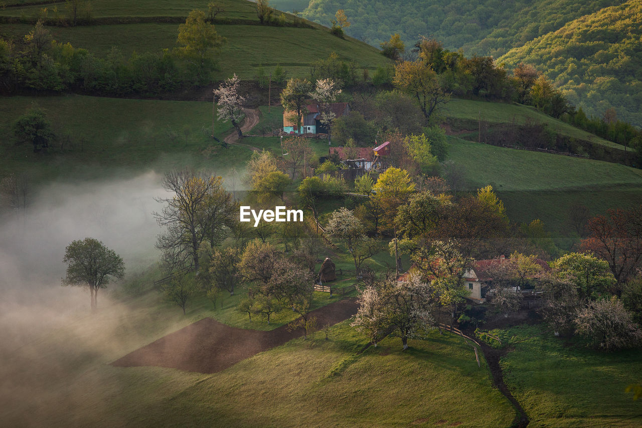 Mountain landscape in the spring season.