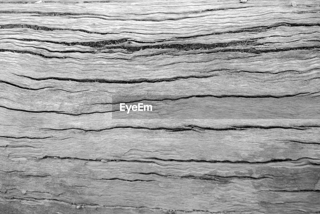 FULL FRAME SHOT OF WOOD