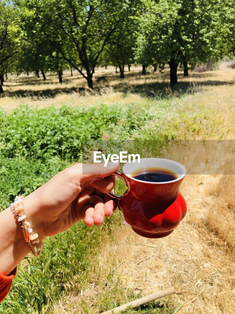 MIDSECTION OF WOMAN HOLDING DRINK IN FIELD