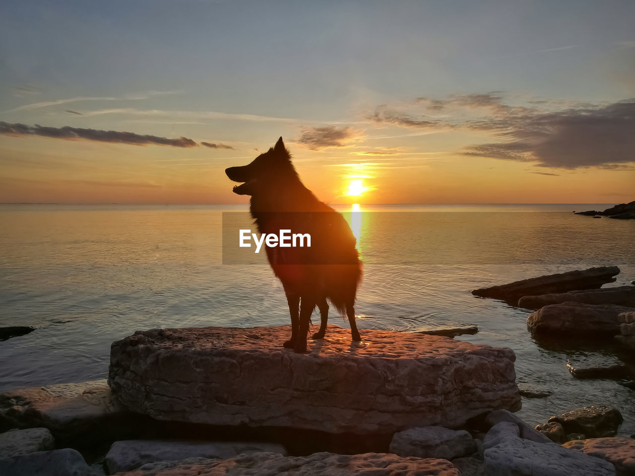 HORSE STANDING ON ROCK AT SEA SHORE AGAINST SKY