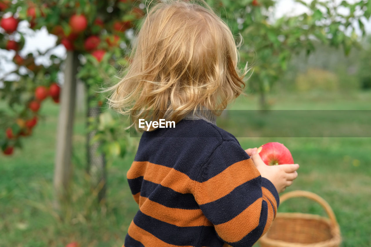 rear view of boy holding flower