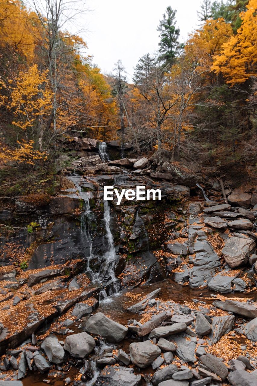 Waterfall in forest during autumn