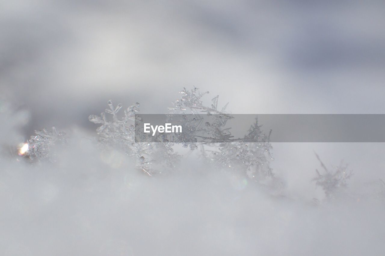 Extreme close up of ice crystals