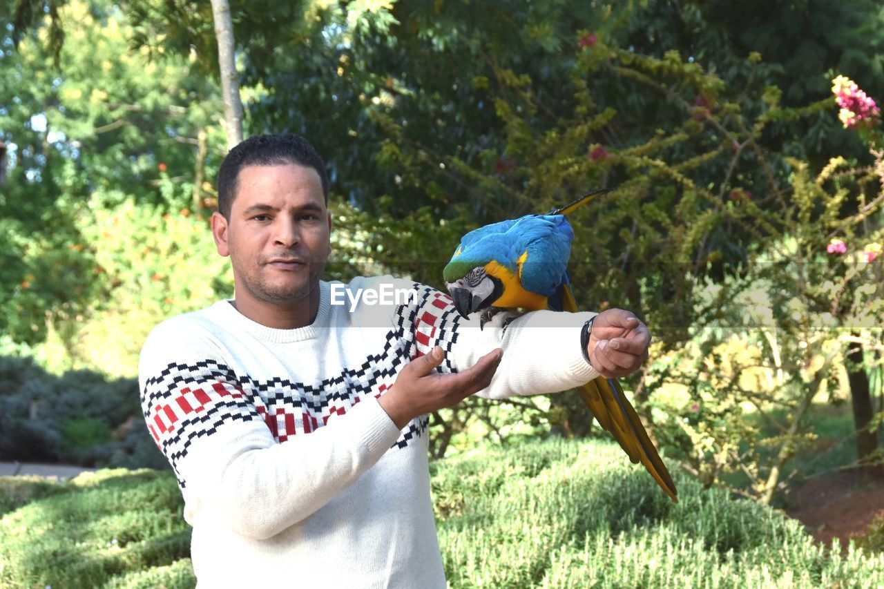 Portrait of man holding macaw in park