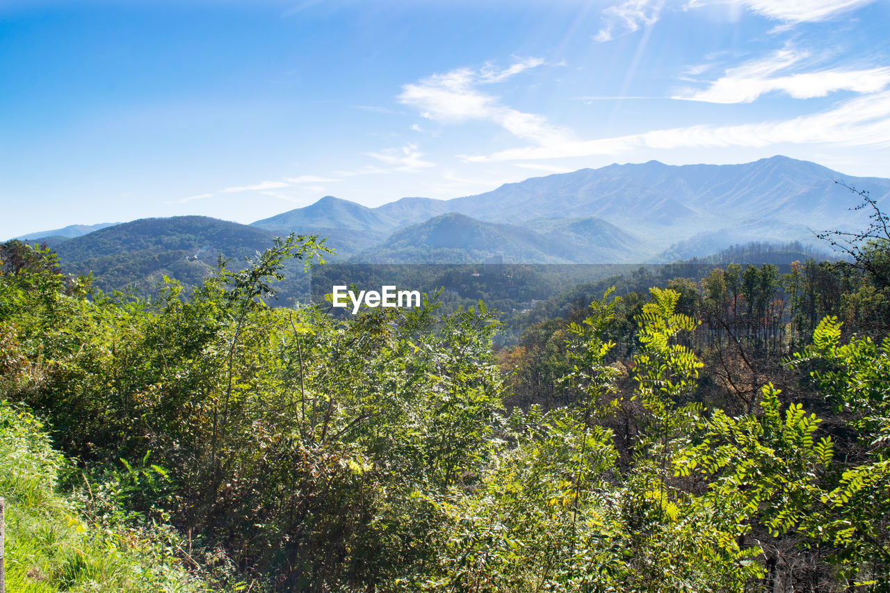 Scenic view of tree mountains against sky