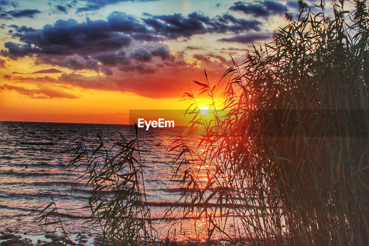 SCENIC VIEW OF DRAMATIC SKY DURING SUNSET