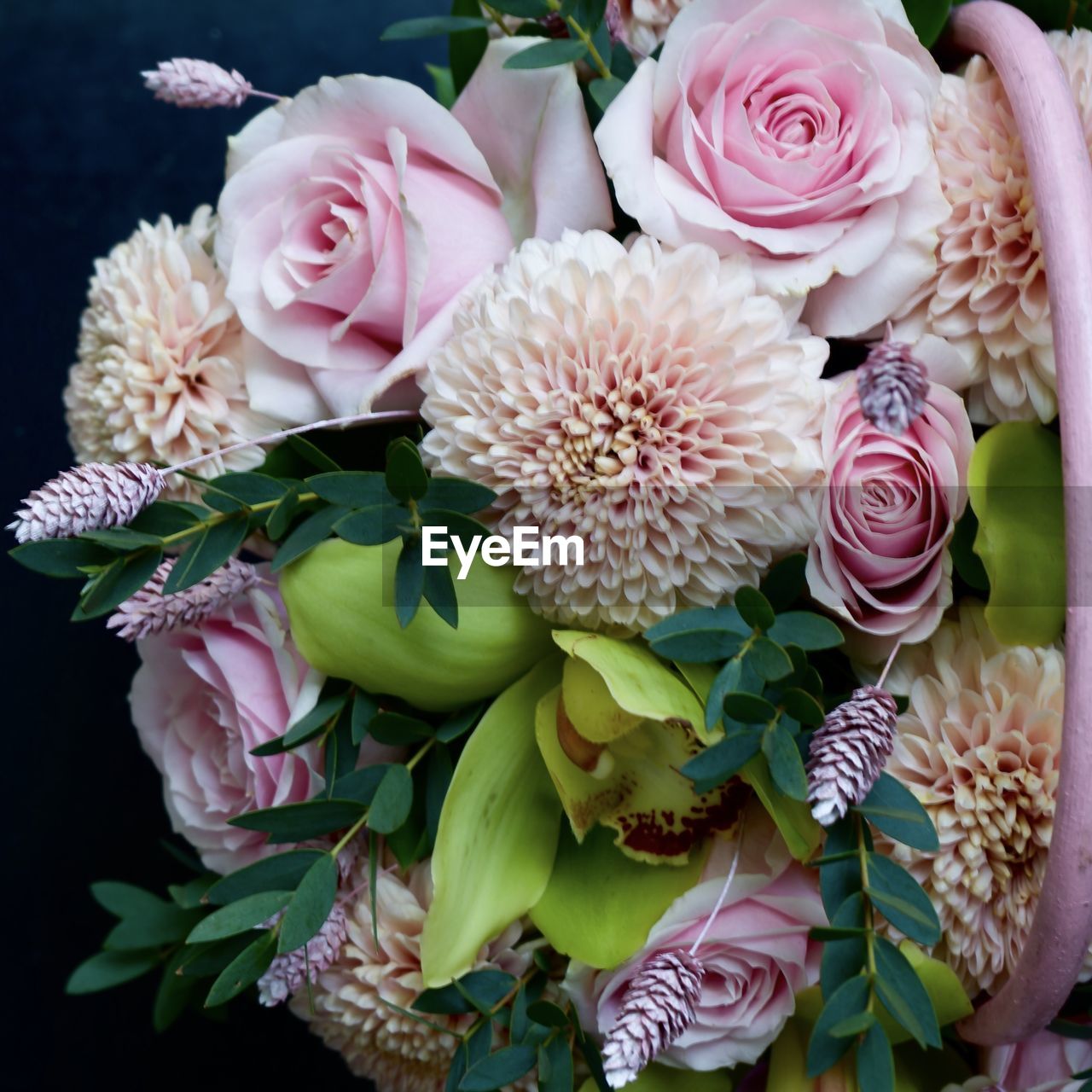 CLOSE-UP OF PINK ROSES ON PLANT