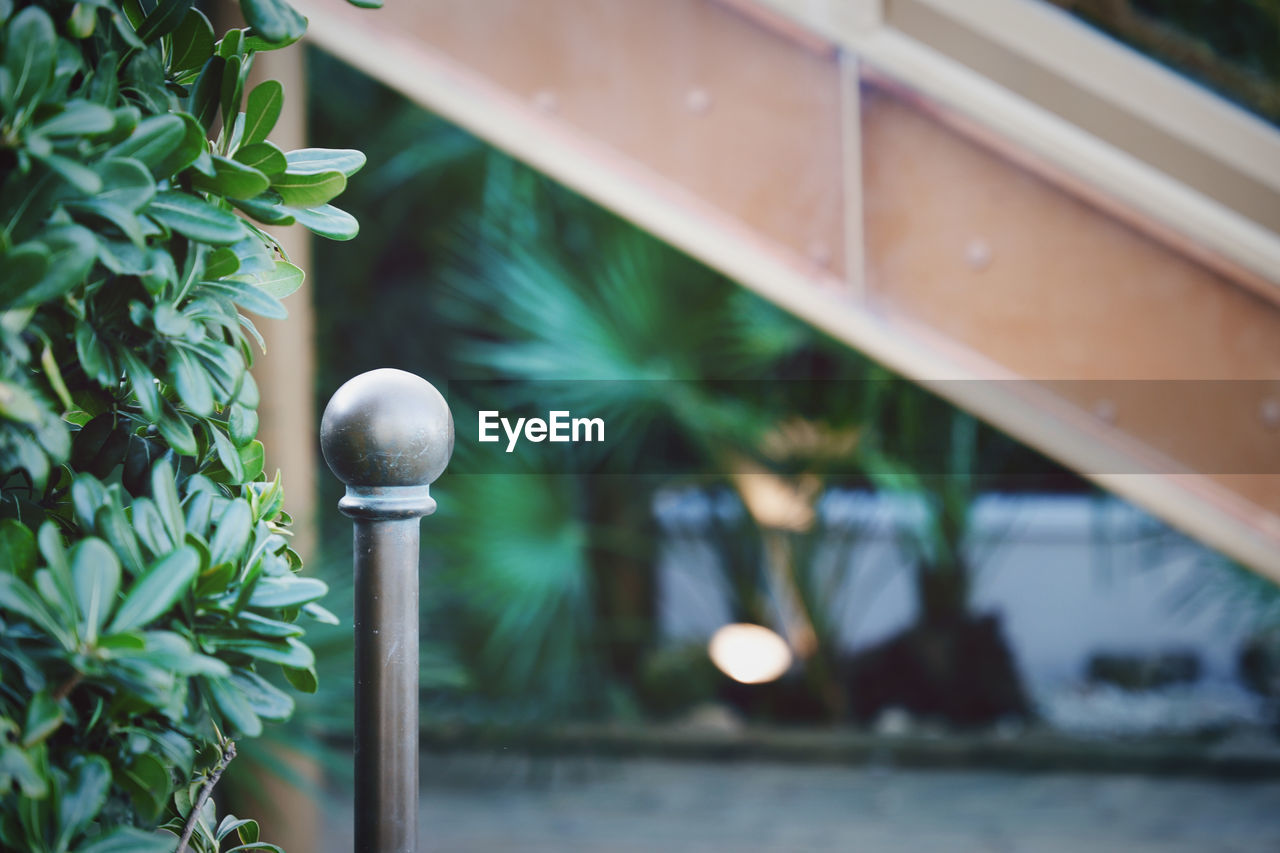 Entry Entryway Plants Post Architecture Built Structure Close-up Day Electric Lamp Focus On Foreground Green Color Growth Hotel Leaf Lighting Equipment Metal Nature No People Outdoors Plant Plant Part Selective Focus Sphere Street Light Tree Wood - Material