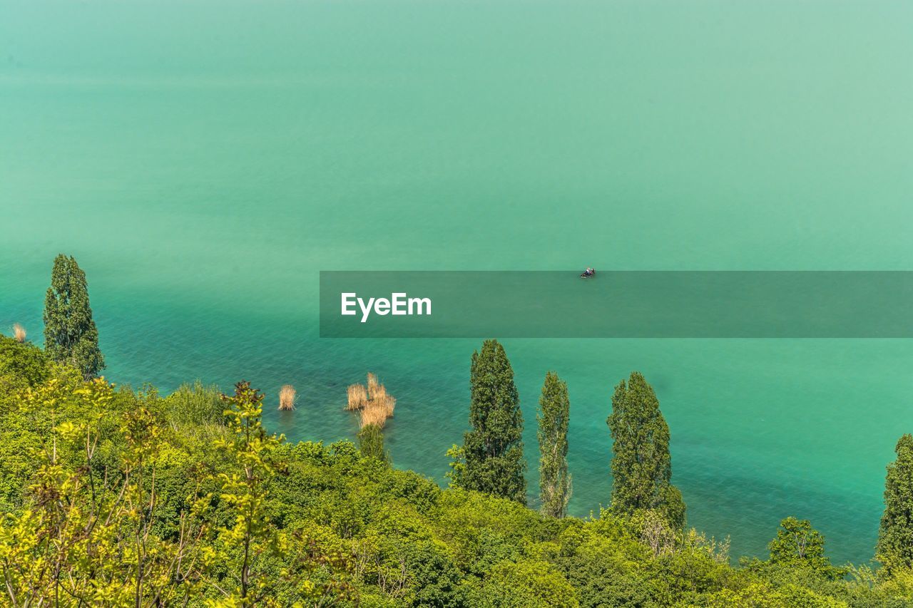 High angle view of plants by sea