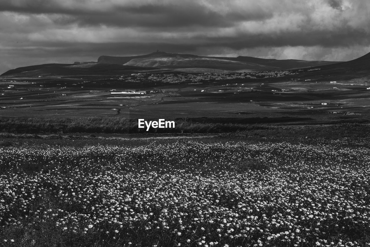 SCENIC VIEW OF LAND AND SEA AGAINST SKY