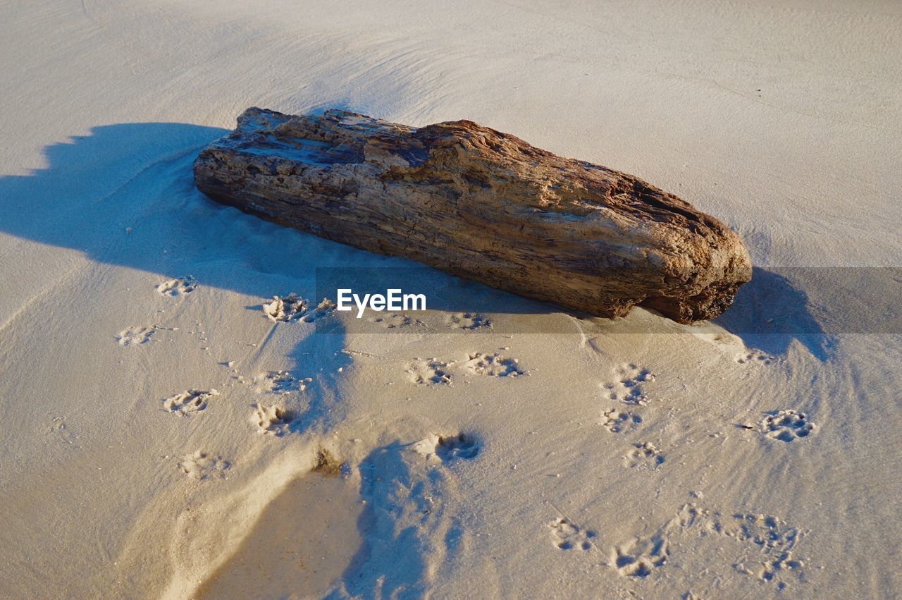 High angle view of driftwood on sand at beach