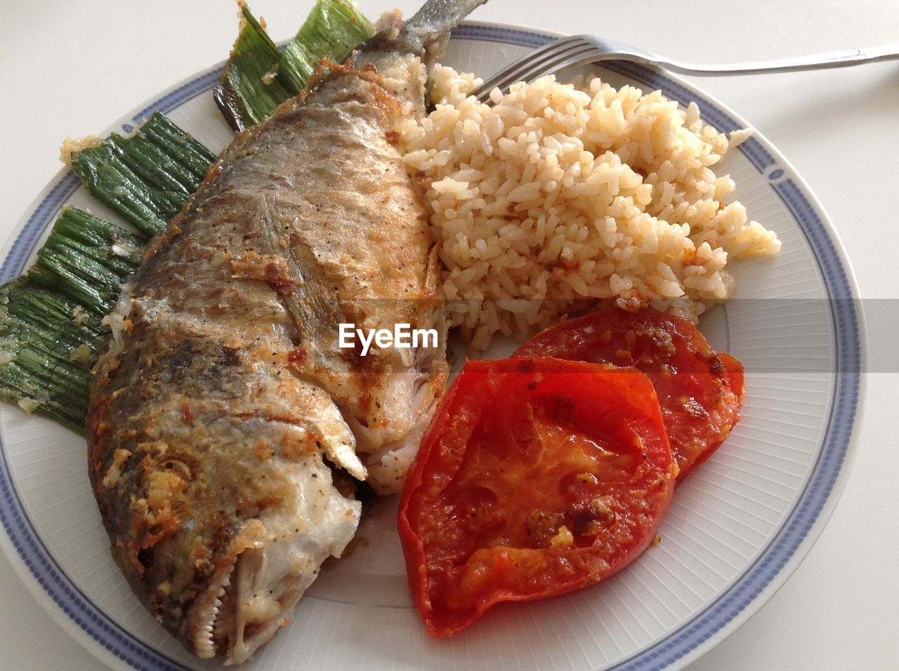 CLOSE-UP OF MEAL SERVED ON PLATE