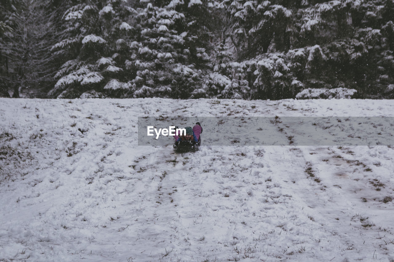 Full length of girl sitting on bobsled in snow