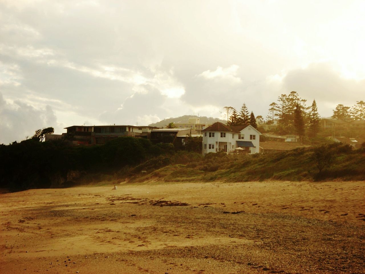 HOUSES ON FIELD AGAINST SKY