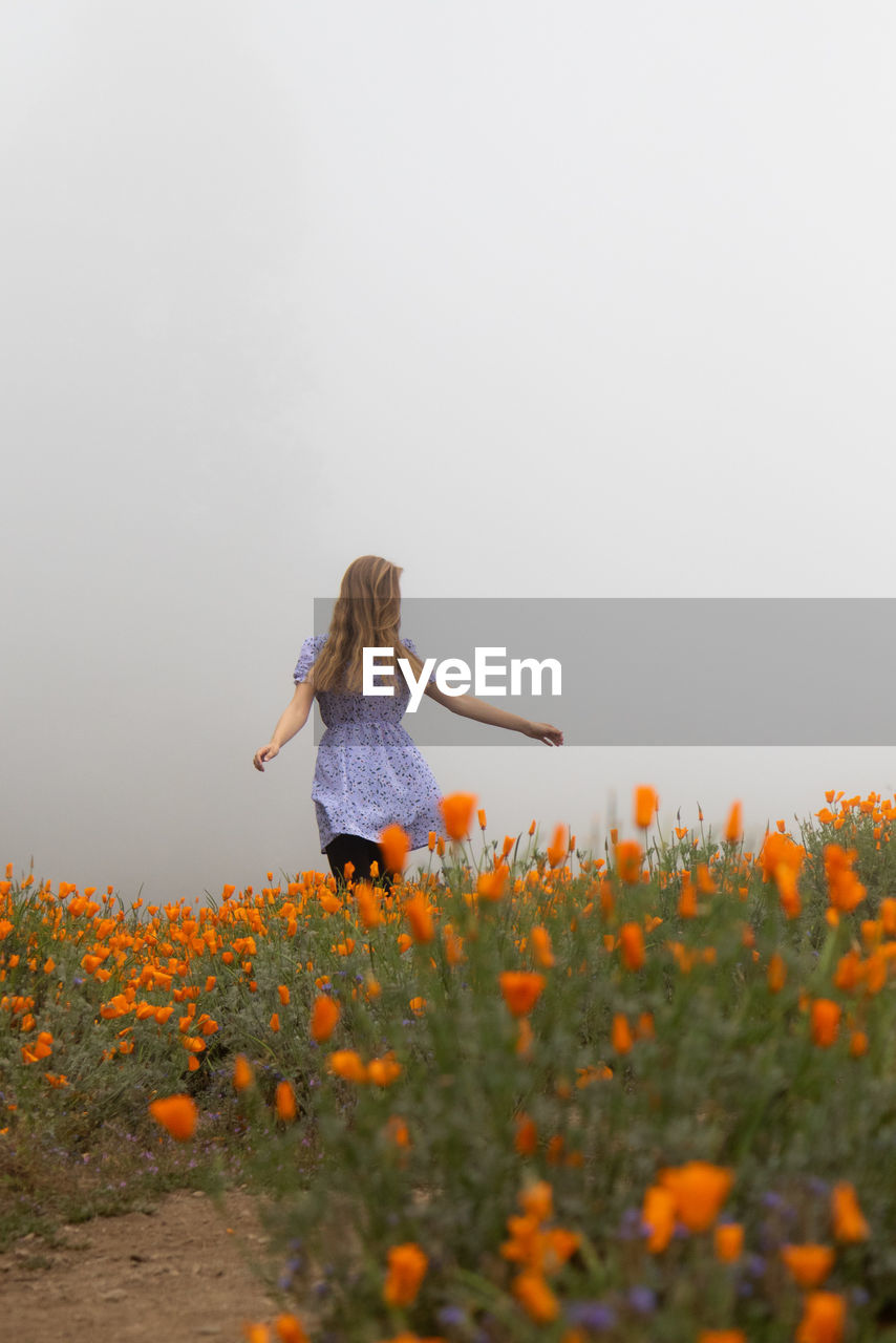 Woman standing amidst yellow flowers on field 