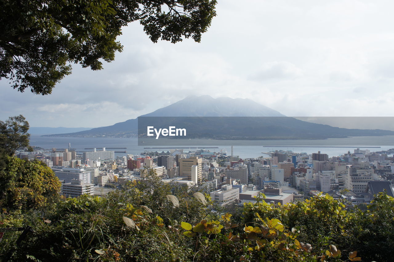 CITYSCAPE BY TREES AGAINST SKY