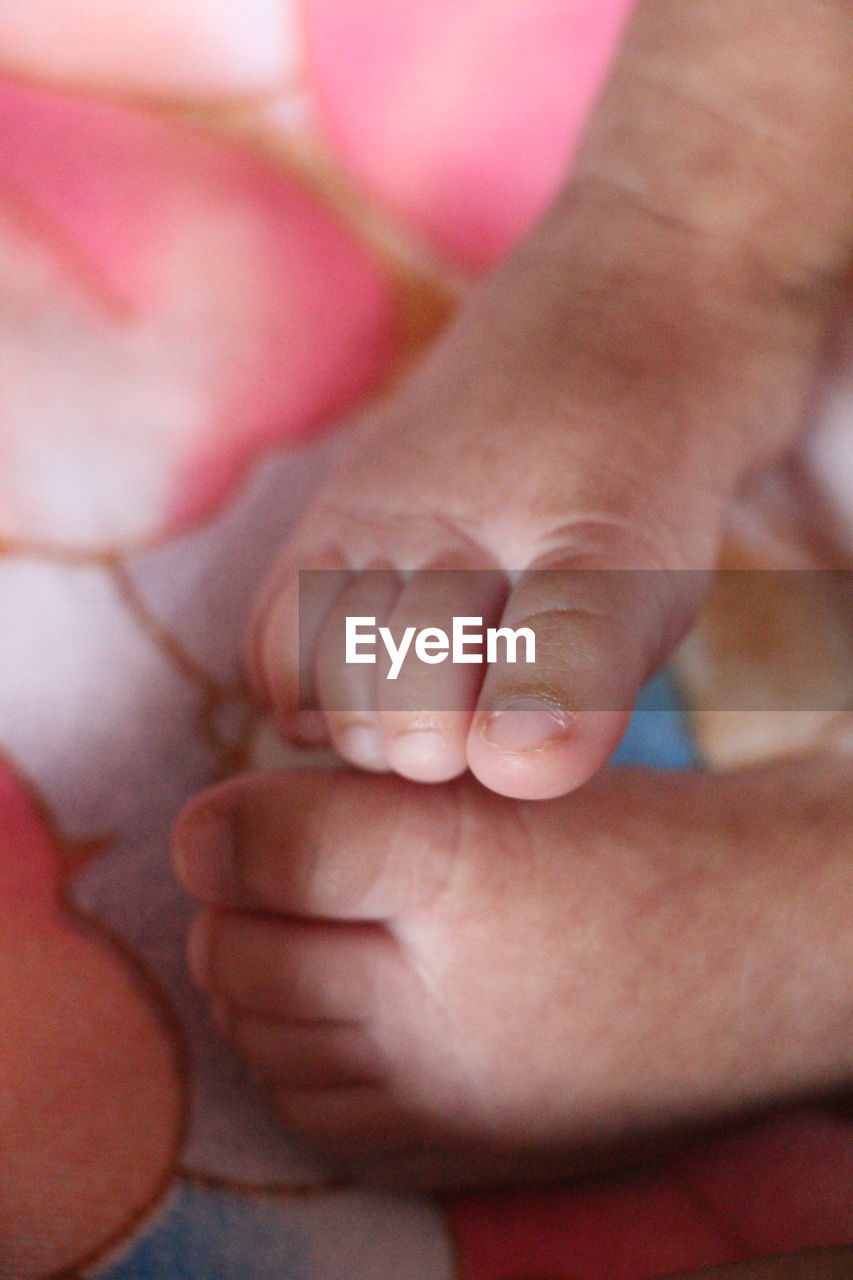 CLOSE-UP OF BABY HAND ON FINGER
