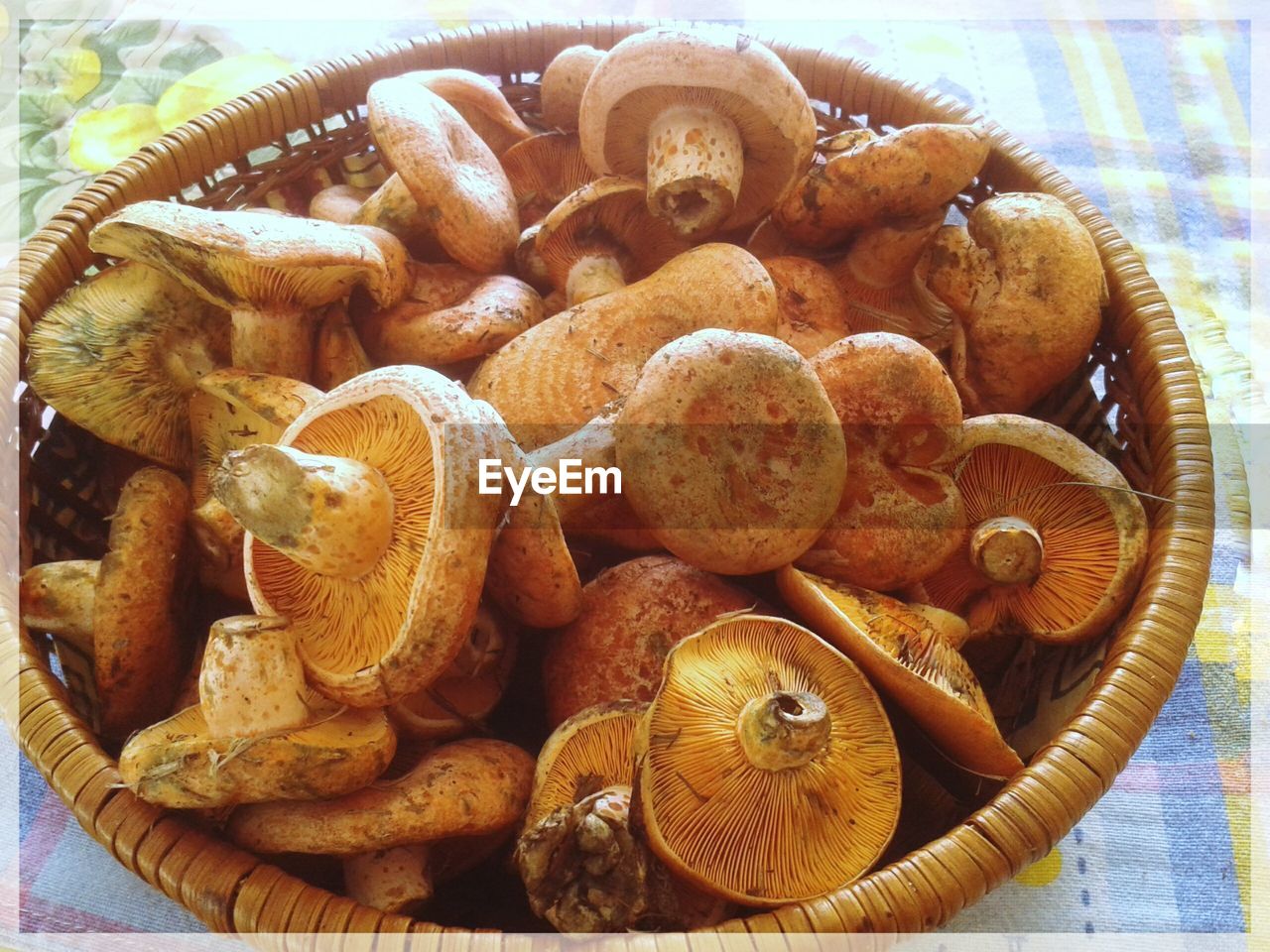 HIGH ANGLE VIEW OF MUSHROOMS IN WICKER BASKET