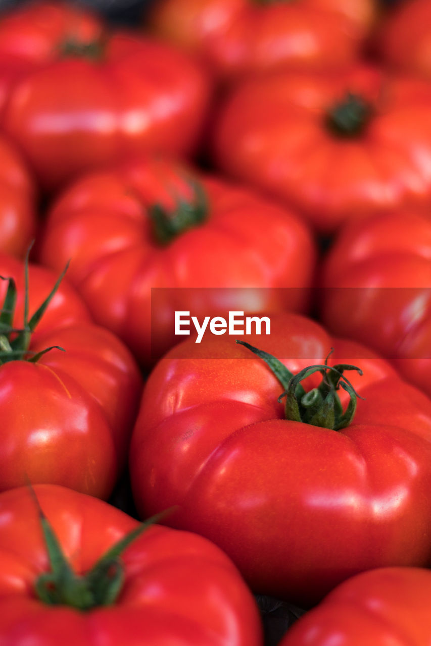 CLOSE-UP OF TOMATOES FOR SALE