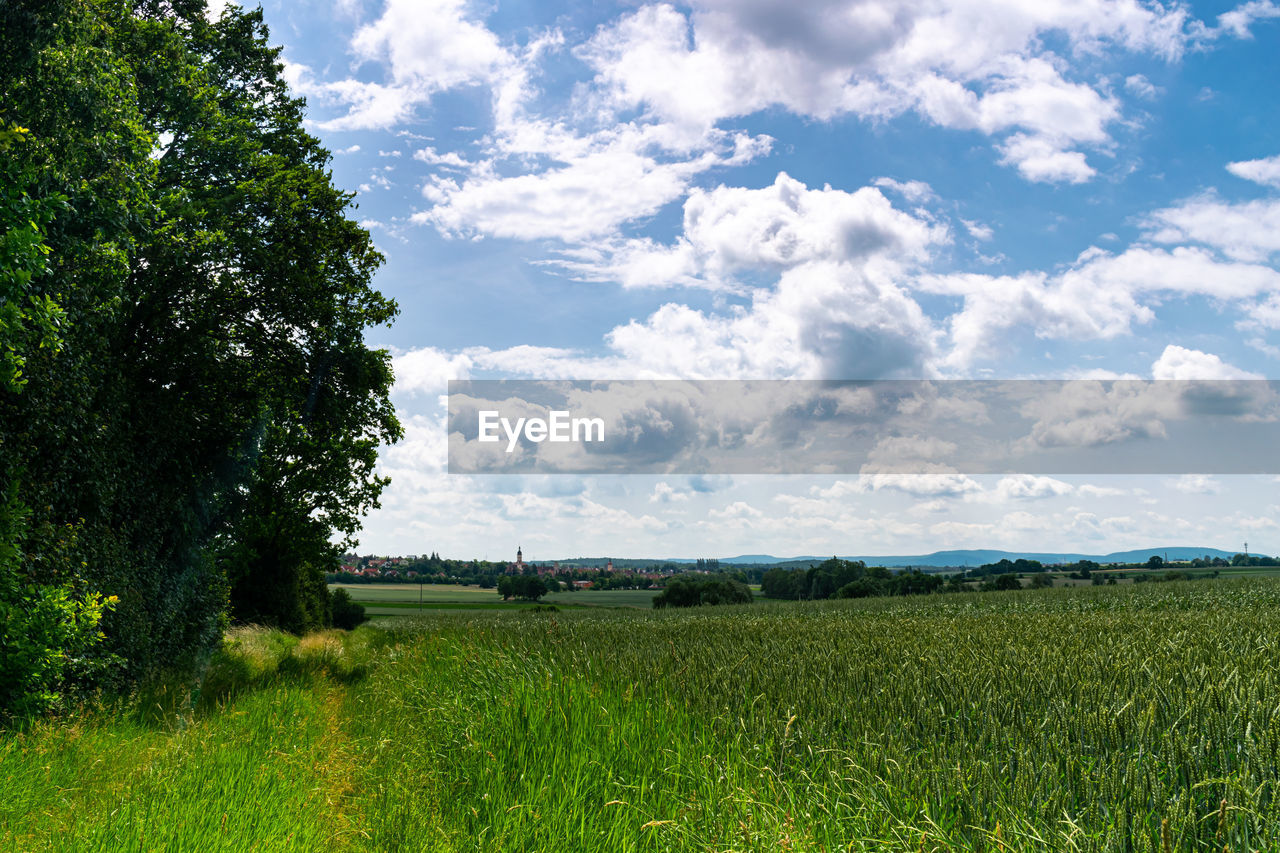 SCENIC VIEW OF AGRICULTURAL LANDSCAPE AGAINST SKY