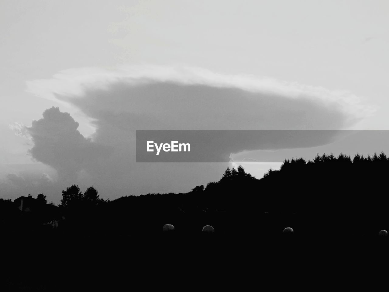 SCENIC VIEW OF SILHOUETTE TREES AGAINST SKY