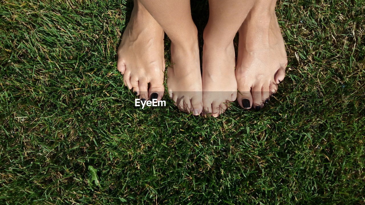 Low section of friends standing on grassy field