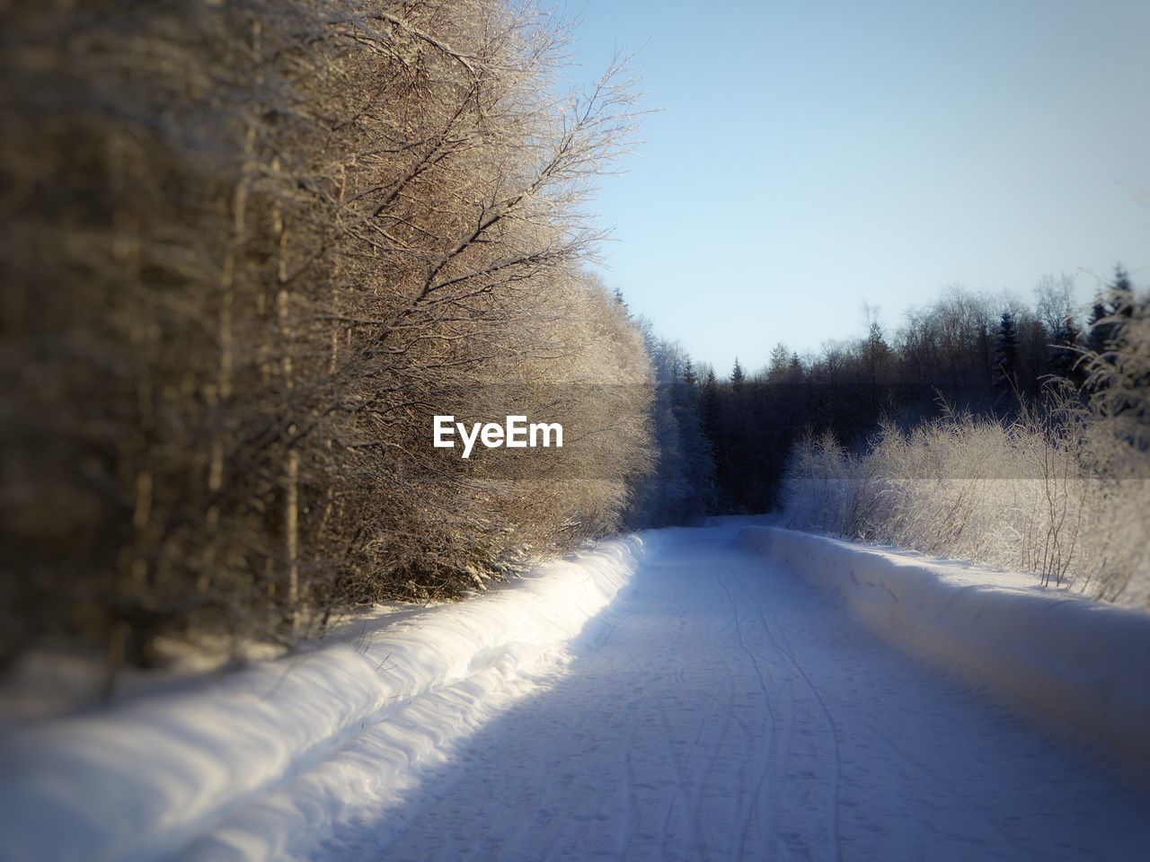 ROAD AMIDST BARE TREES DURING WINTER AGAINST SKY